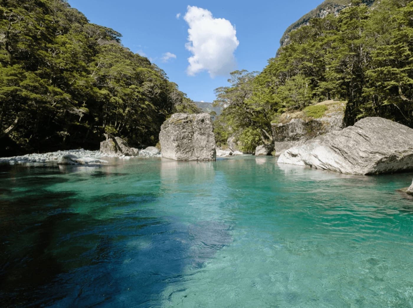 The Te Waihou Blue Spring near Putaruru, known for some of the purest water in the world