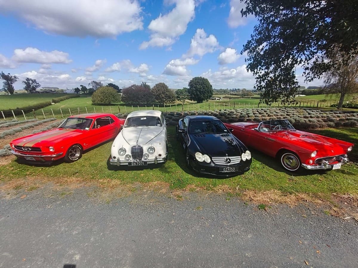 The Classic Car Tours fleet of classic and luxury vehicles in Waikato