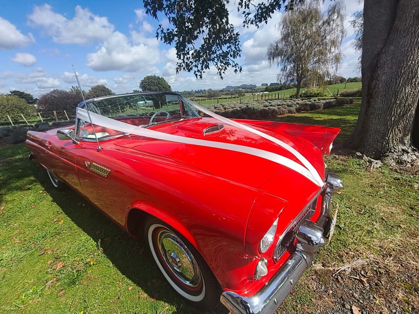 1955 Ford Thunderbird convertible parked in the Waikato countryside