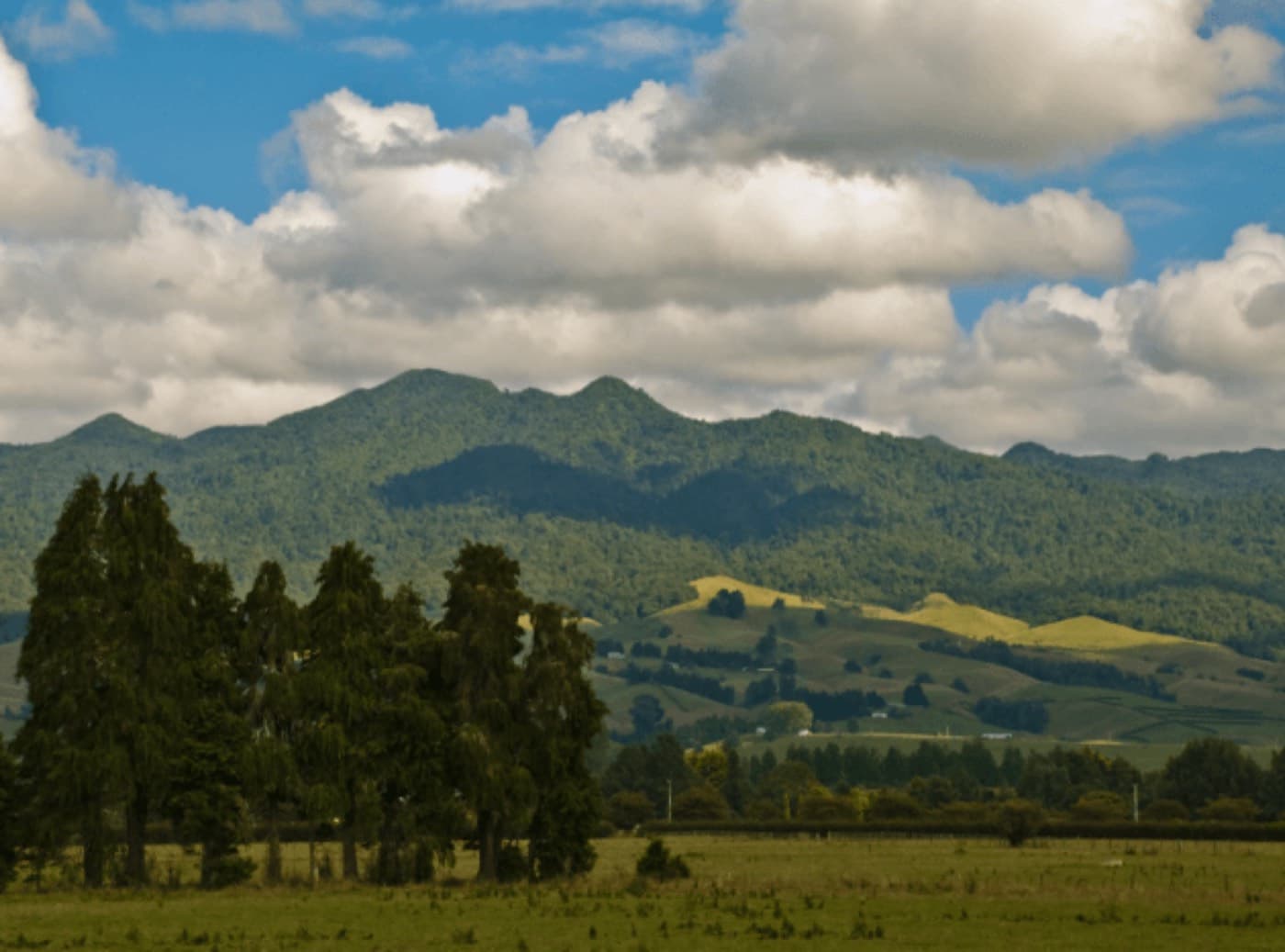 Mount Pirongia and the surrounding native forest park in the Waikato