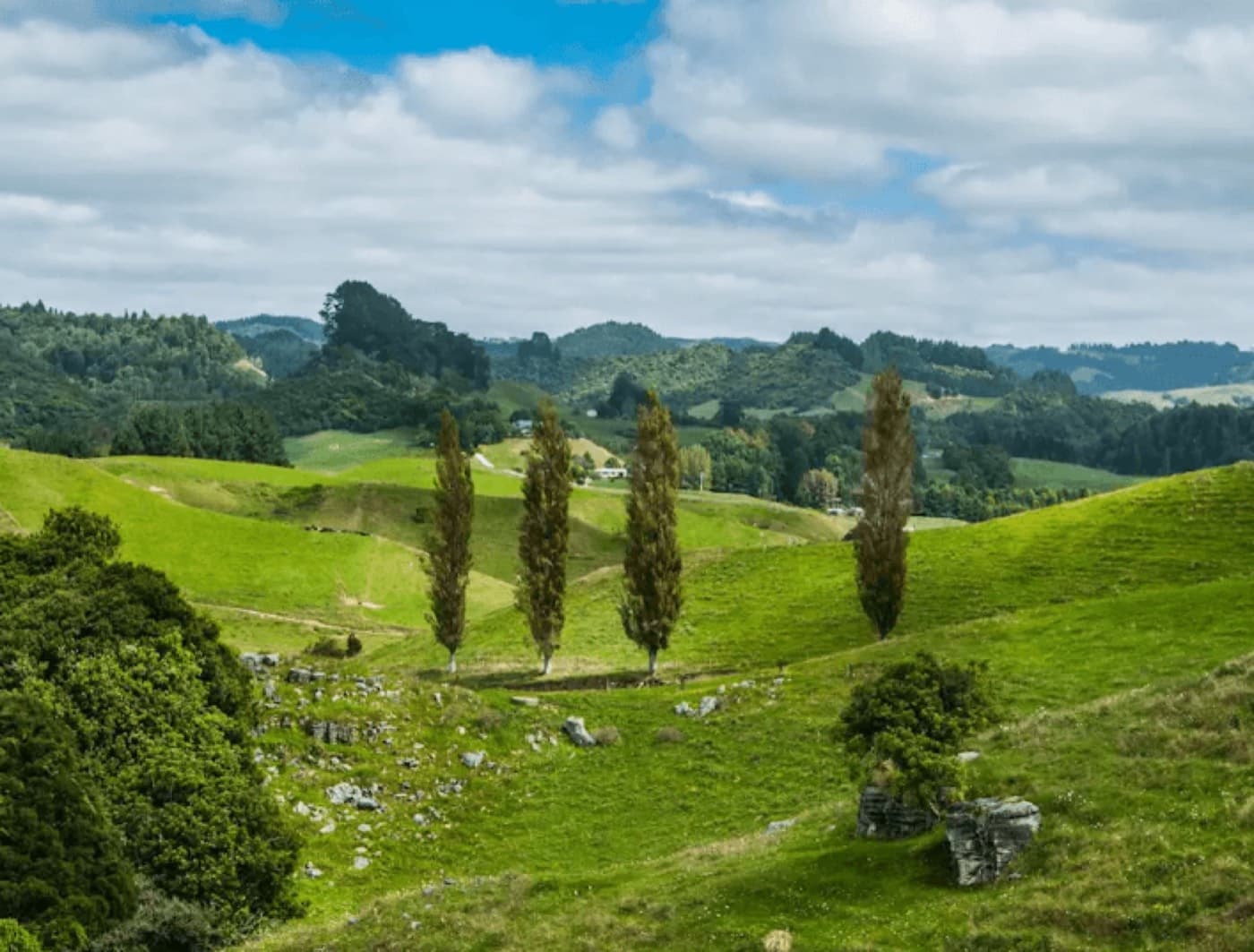 Private Waitomo Caves tour from Hamilton through limestone country